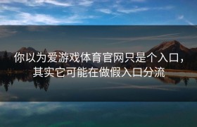 你以为爱游戏体育官网只是个入口，其实它可能在做假入口分流