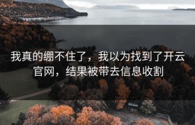 我真的绷不住了，我以为找到了开云官网，结果被带去信息收割