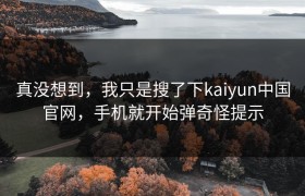 真没想到，我只是搜了下kaiyun中国官网，手机就开始弹奇怪提示