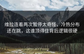 维拉连着两次暂停太奇怪，冷热分布还在跳，这谁顶得住背后逻辑很硬