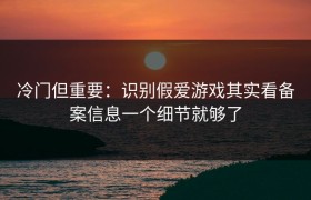 冷门但重要：识别假爱游戏其实看备案信息一个细节就够了